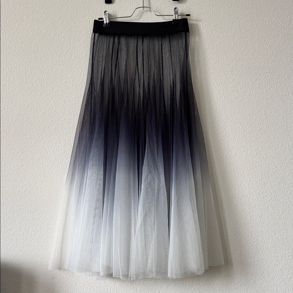 Yumiko Dresses & Skirts - Ballet Rehearsal Ombre Tulle Practice Tutu Skirt